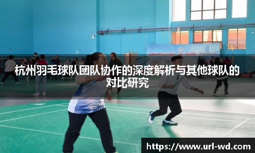 杭州羽毛球队团队协作的深度解析与其他球队的对比研究